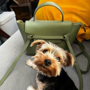 Dog NFS LOL / Celine Belt Bag - Green caf leather - micro